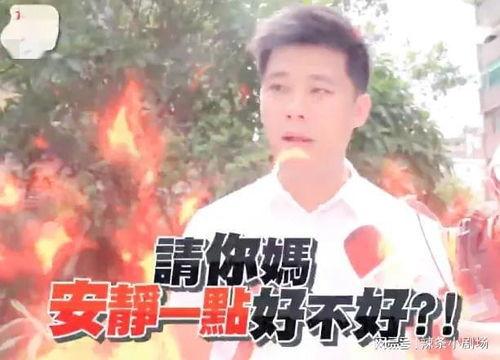 记者爆料汪小菲视频全集,记者爆料背后的真相与细节  第3张